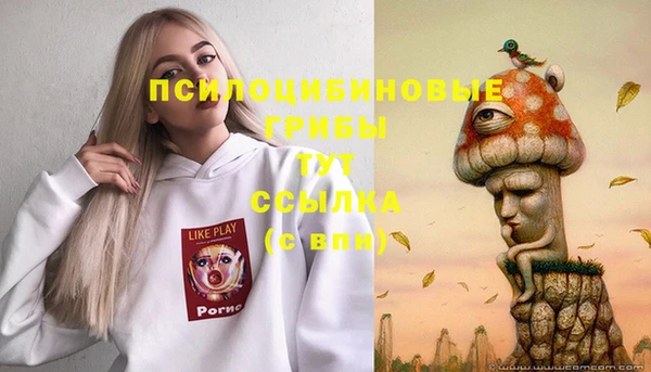 индика Алексеевка