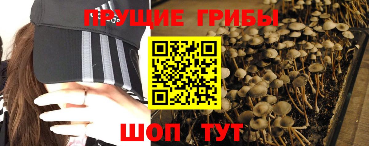 Галлюциногенные грибы MAGIC MUSHROOMS Люберцы