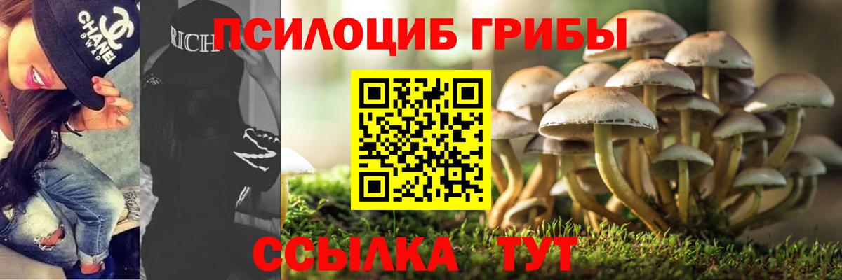 Люберцы  Псилоцибиновые грибы мухоморы  Вход с VPN 